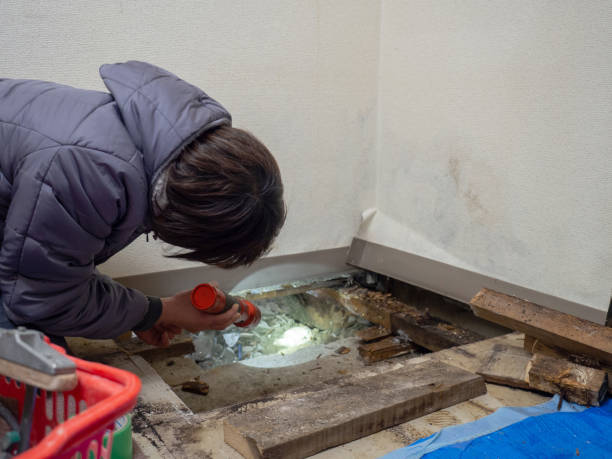 Best Mold Documentation for Insurance Claims  in East Camden, AR