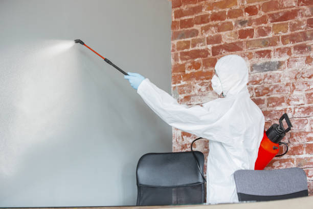 Best Indoor Air Quality Assessment  in East Camden, AR
