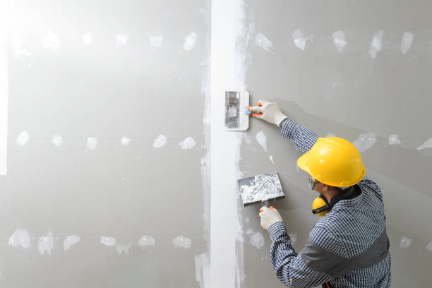 Mold Remediation for Vacation Homes in East Camden, AR