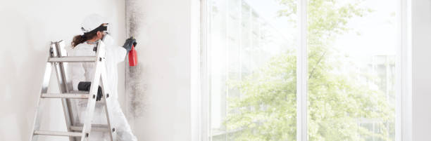 Best Forensic Mold Investigation  in East Camden, AR