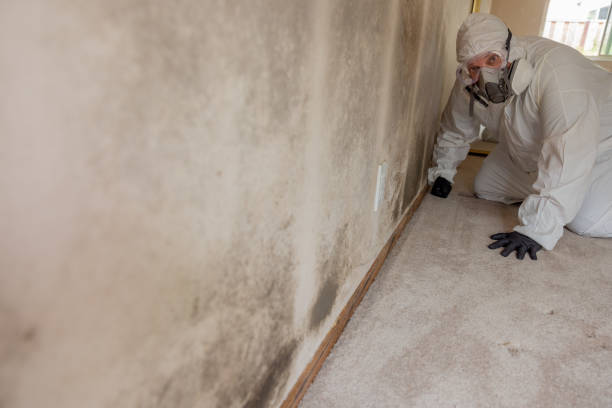 Best Dehumidification Services  in East Camden, AR